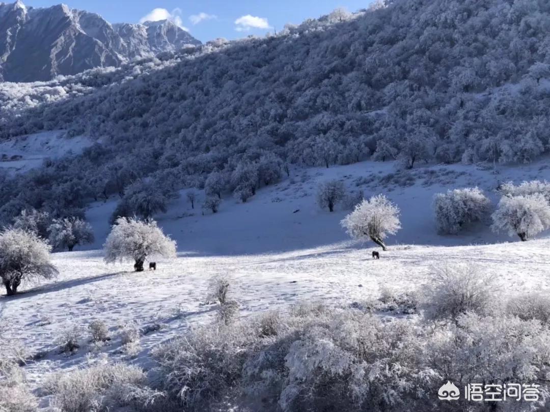 货运索道夹板船上甲板工主要干什么？