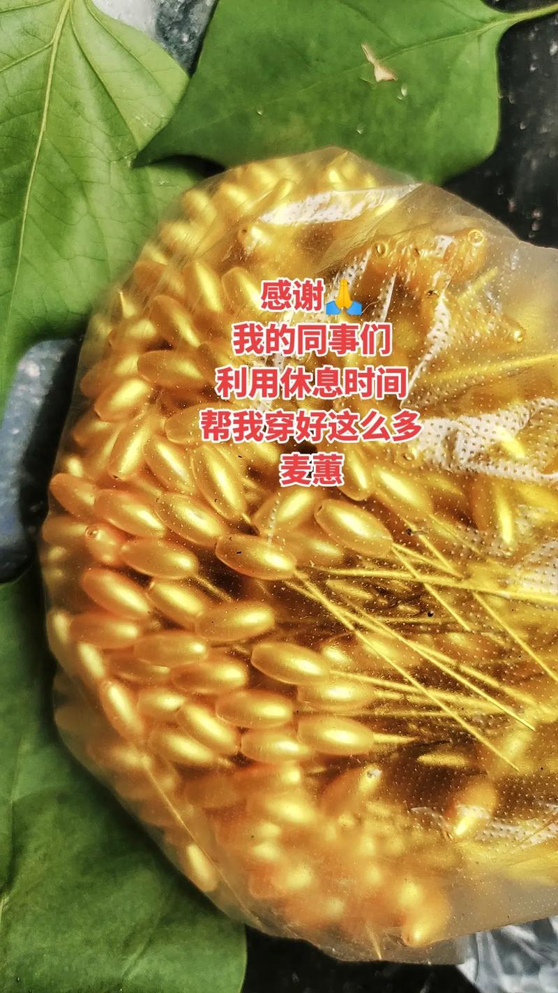 货运小王3货运同行们！都休息休息吧！我已经休息半个月了！你们呢？