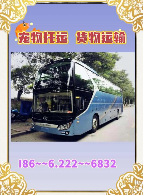 客车从事货运七座货运可以转客运吗？