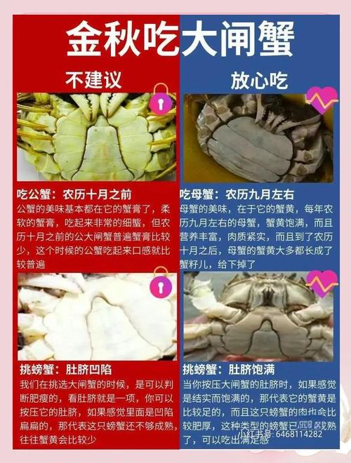 大闸蟹货运摆放大闸蟹为什么可以长途密封运输？