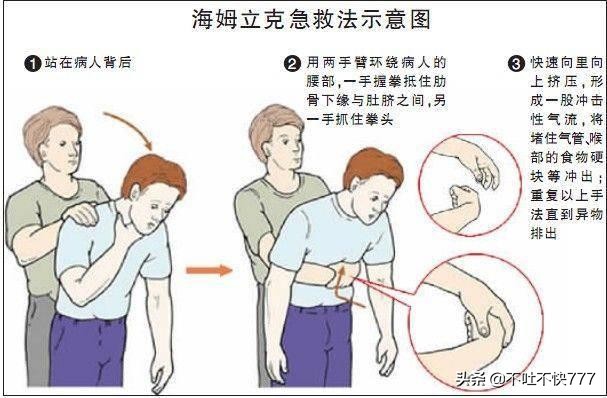 面包货运司机桃李面包招聘送货司机真实经历？