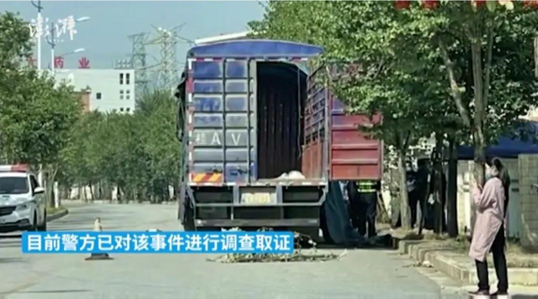 货运司机离世广西柳州：大车停靠路边多日，被发现时司机已死亡，什么情况？