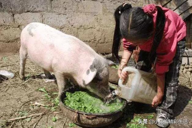 疫情货运人黄码货车司机可以拉货吗？