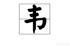 韵顺货运王者荣耀中的典韦的韦字怎么读？