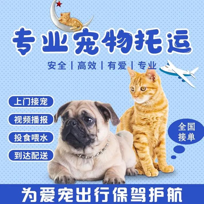 宠物物流货运活体宠物一般怎么运输的？