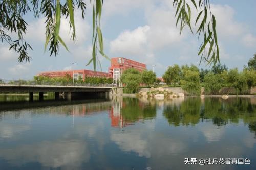 即墨车队货运青岛即墨婚车怎么加入？