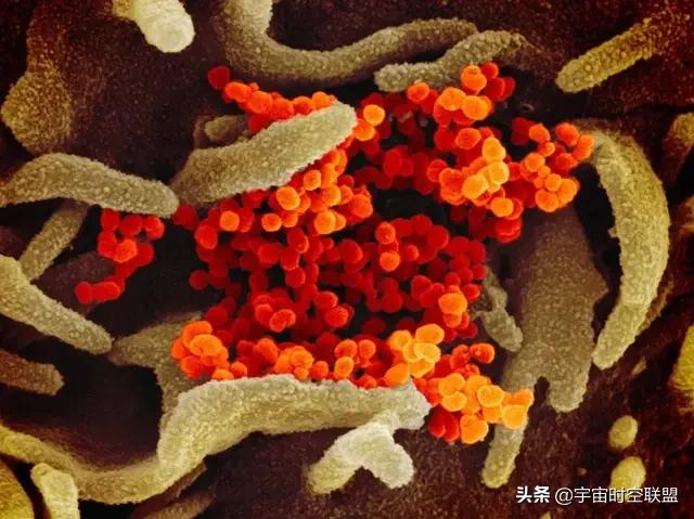 货运全国派车兴安盟有货拉拉吗？