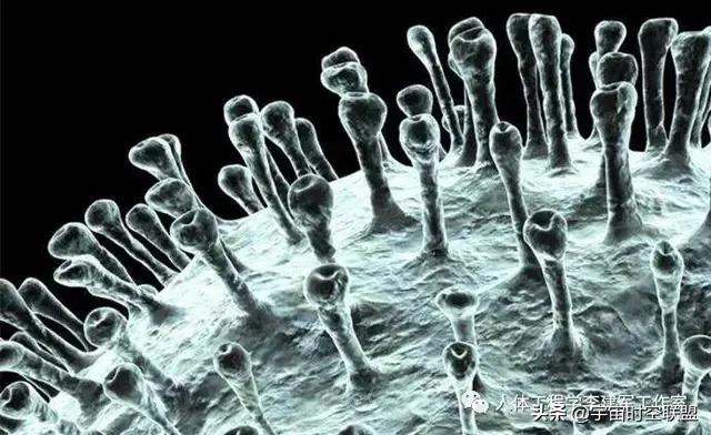 货运全国派车兴安盟有货拉拉吗？