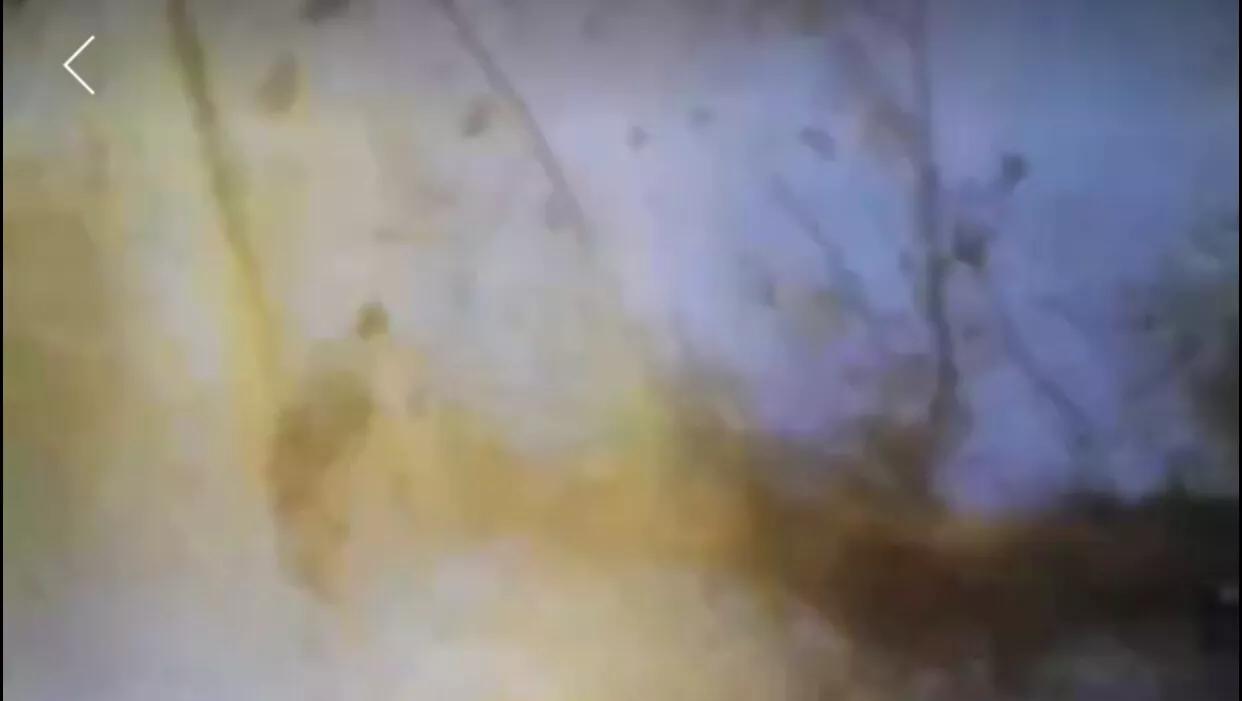 吉利货运APP春节挣钱项目？