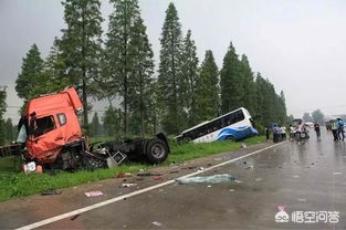 吉利货运APP春节挣钱项目？