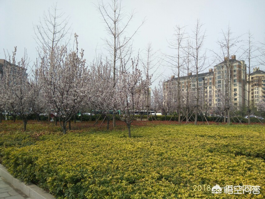 联众货运加盟上海联众物流有限公司介绍？