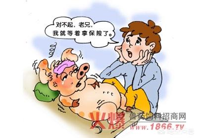 智猪货运天津智猪网科技有限公司百科？