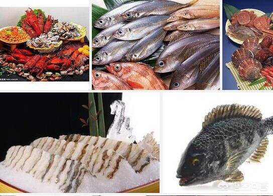 全国水产货运活海鲜运输找什么物流？