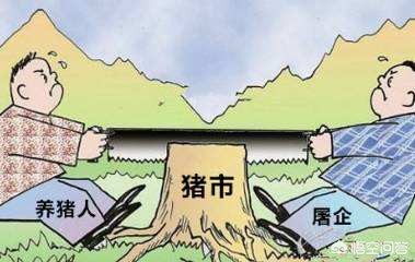山东生猪货运山东可以运猪到广东吗？