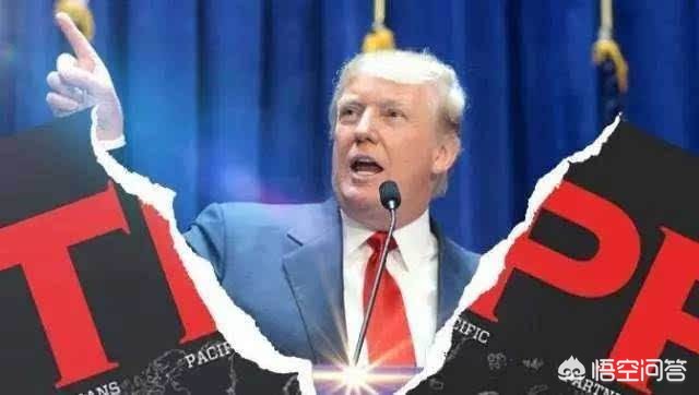 一伊货运法石油巨头停止在伊业务后，货运公司也停止与伊往来。为何只有法国担心美制裁？