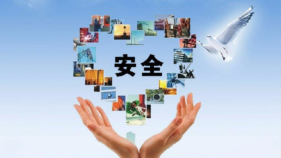 搬家货运特点蚂蚁搬家是什么样的？详细？