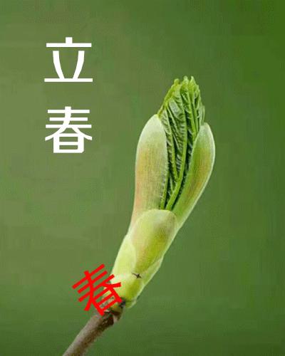 2022货运低谷2022年四川丰水期电价标准？