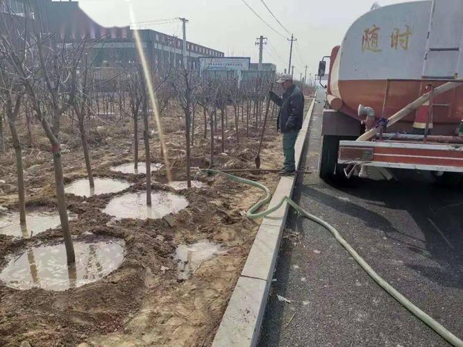 货运信息版本货运资格证电子版还用年审吗？