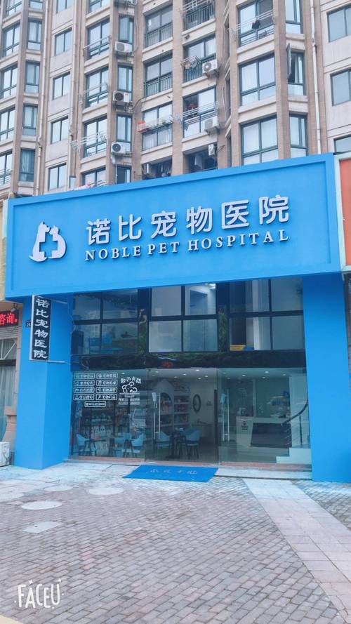 宁波宠物货运宁波宠物医院哪家最好？