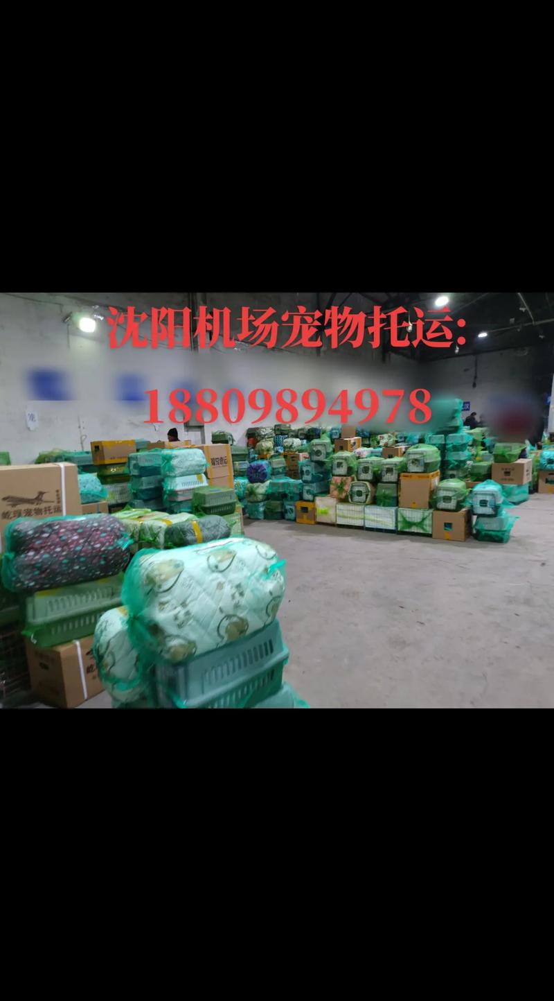 沈阳货运骗子网上招物流分拣员靠谱吗？