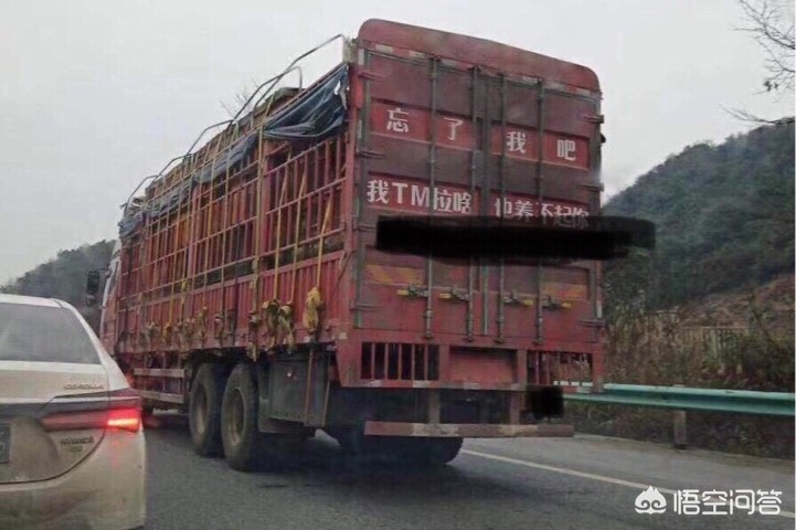 货运这么差物流生意为什么这么惨淡？