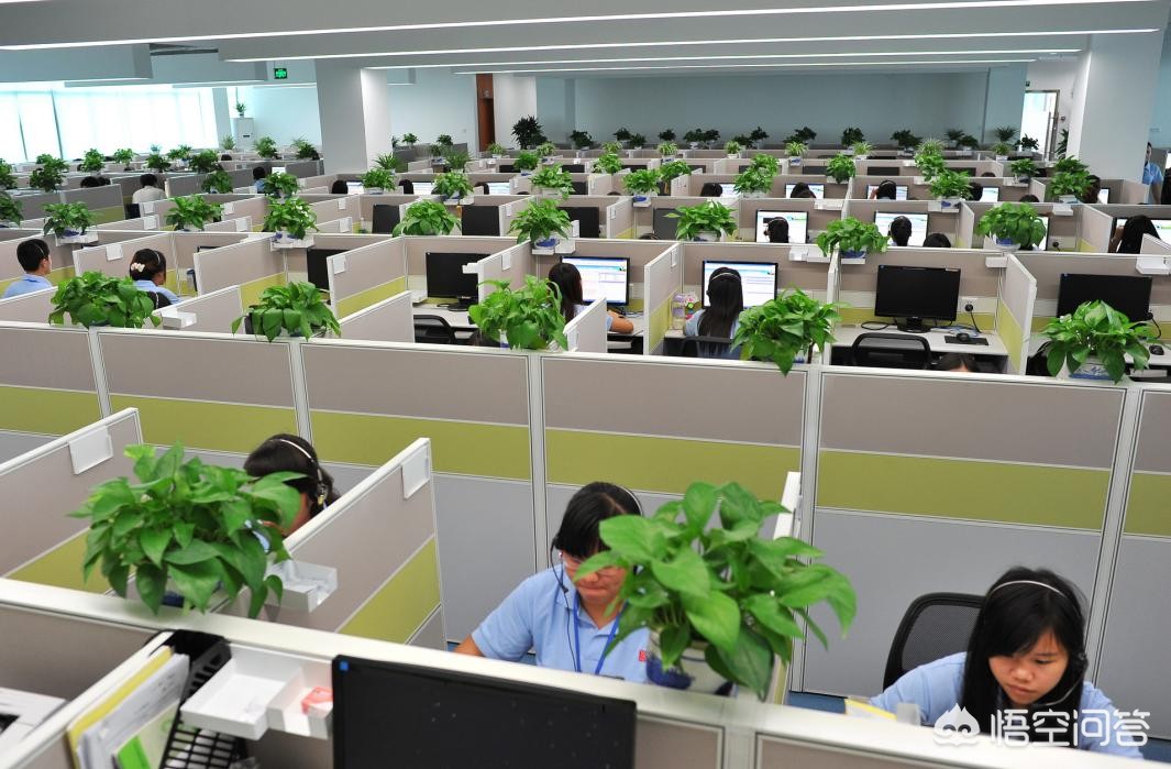 南召货运招聘河南省南阳市南召县云阳镇有没有哪里在招工？