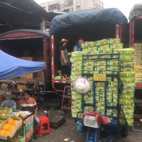 东莞水果货运东莞下桥水果拿货技巧？