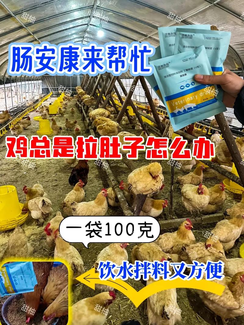 鸡货运输私人小货车拉家禽需要什么手续吗？