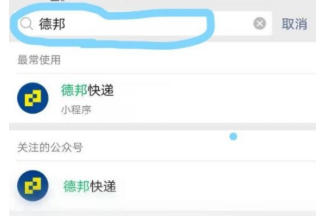 铁路货运支付德邦物流支付方式网上支付什么意思？