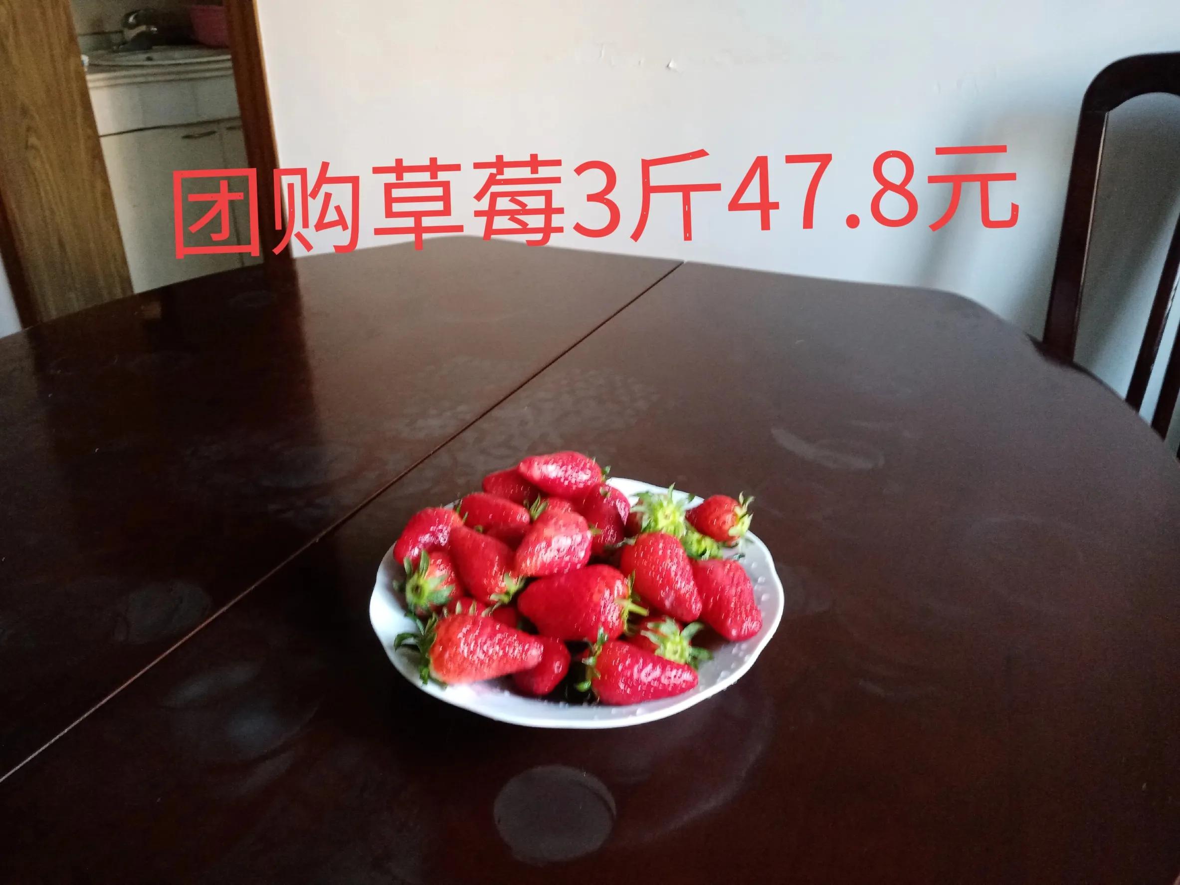 宝山食品货运2021年上海市副食品补贴标准？