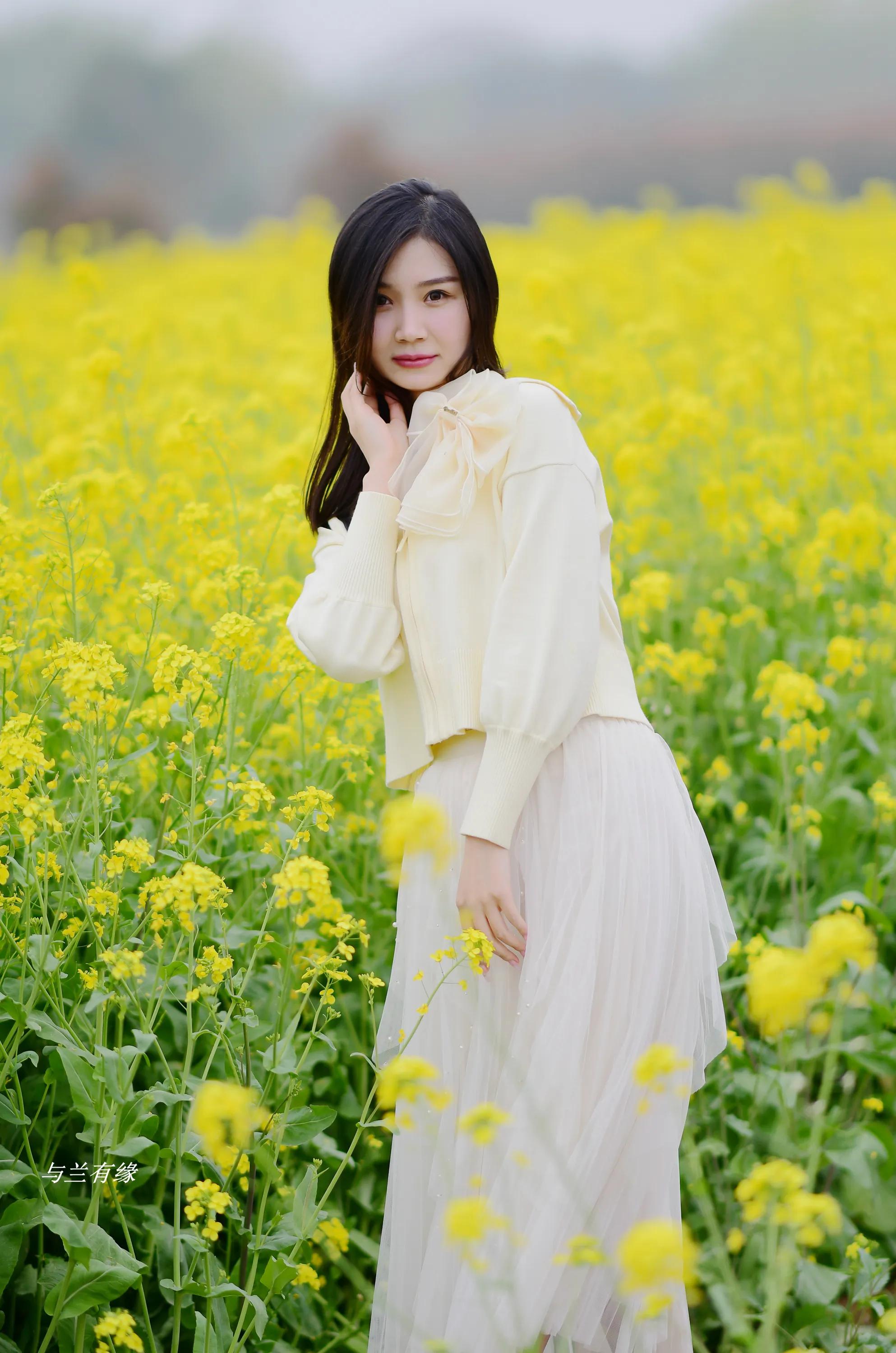 货运司机何去何从货运市场惨淡货车该何去何从？