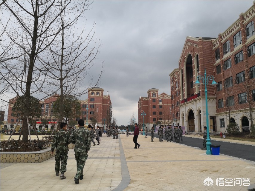 杜绝低价货运挂靠经营很时髦成本低见效快，但是对市场冲击大，你怎么看？