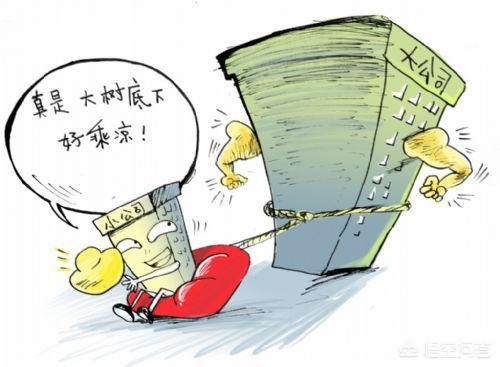 杜绝低价货运挂靠经营很时髦成本低见效快，但是对市场冲击大，你怎么看？